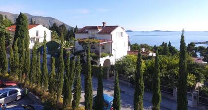 Villa Mediterranea
