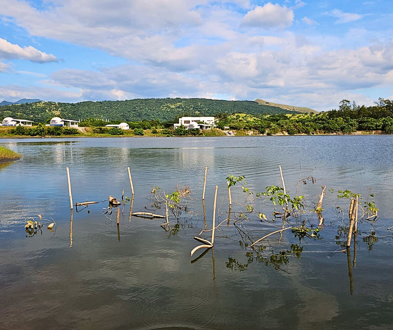 A calm lake with wooden stakes and sparse vegetation in the foreground. In the background, there are houses and hills.
