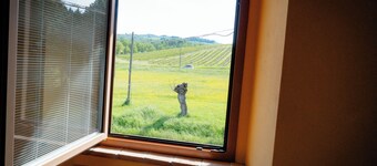 1 bedroom bed & breakfast in tuscany