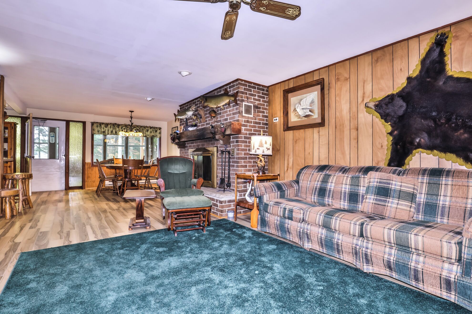 TV, fireplace, DVD player
