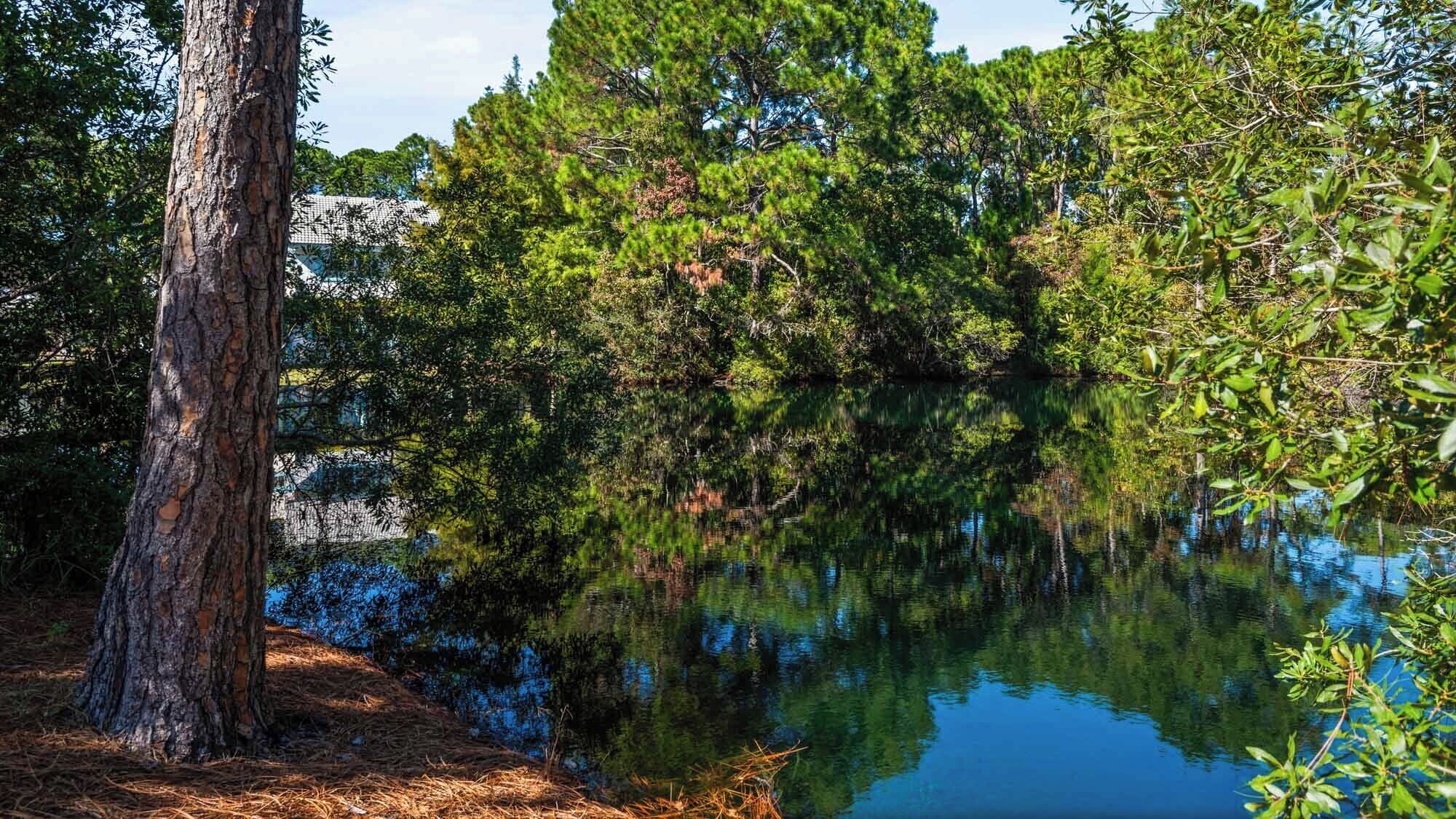 A serene lakeside scene with dense greenery and a clear reflection in the water.