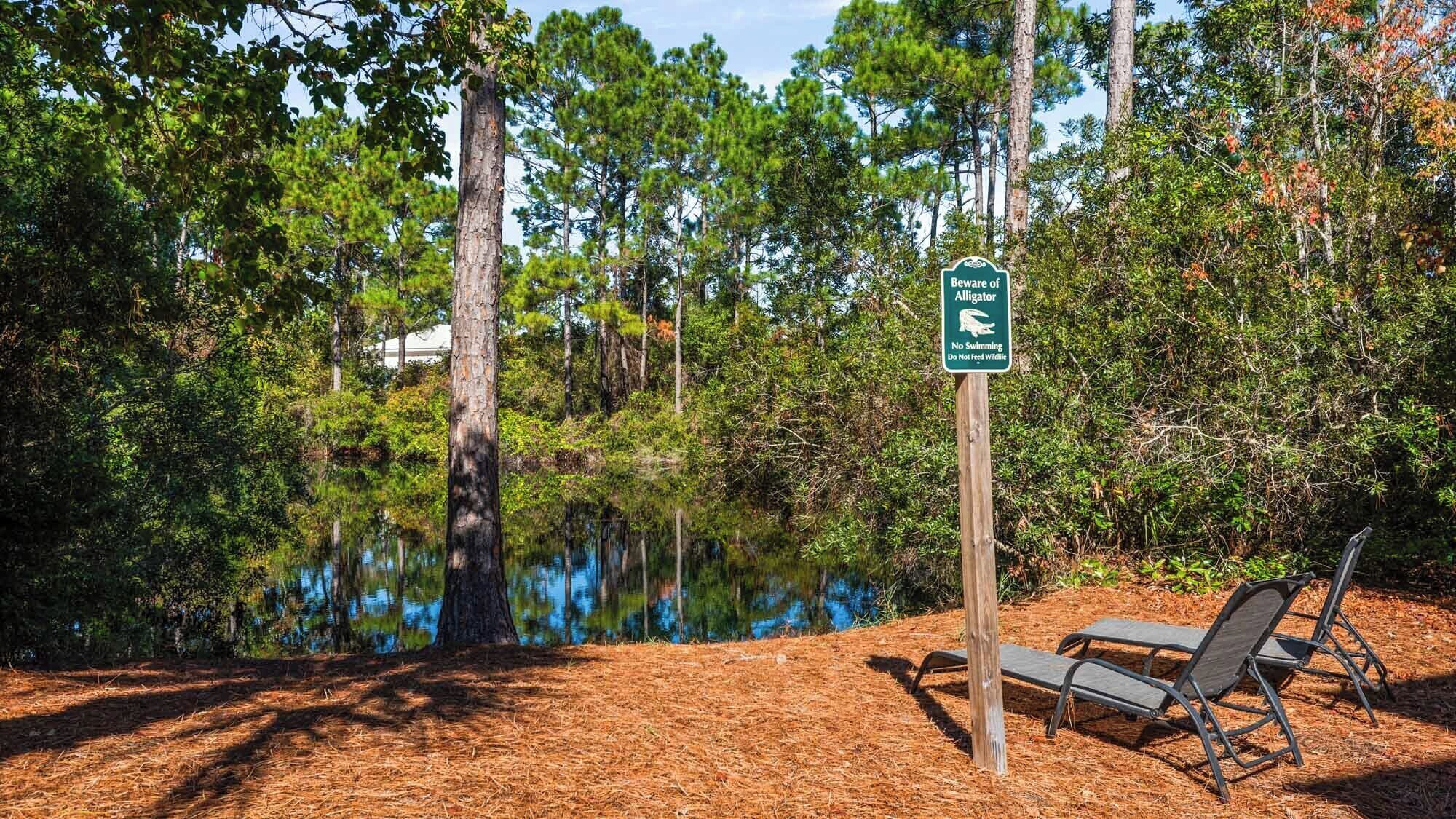 A park area with a warning sign about alligators, a body of water, and two lounge chairs.