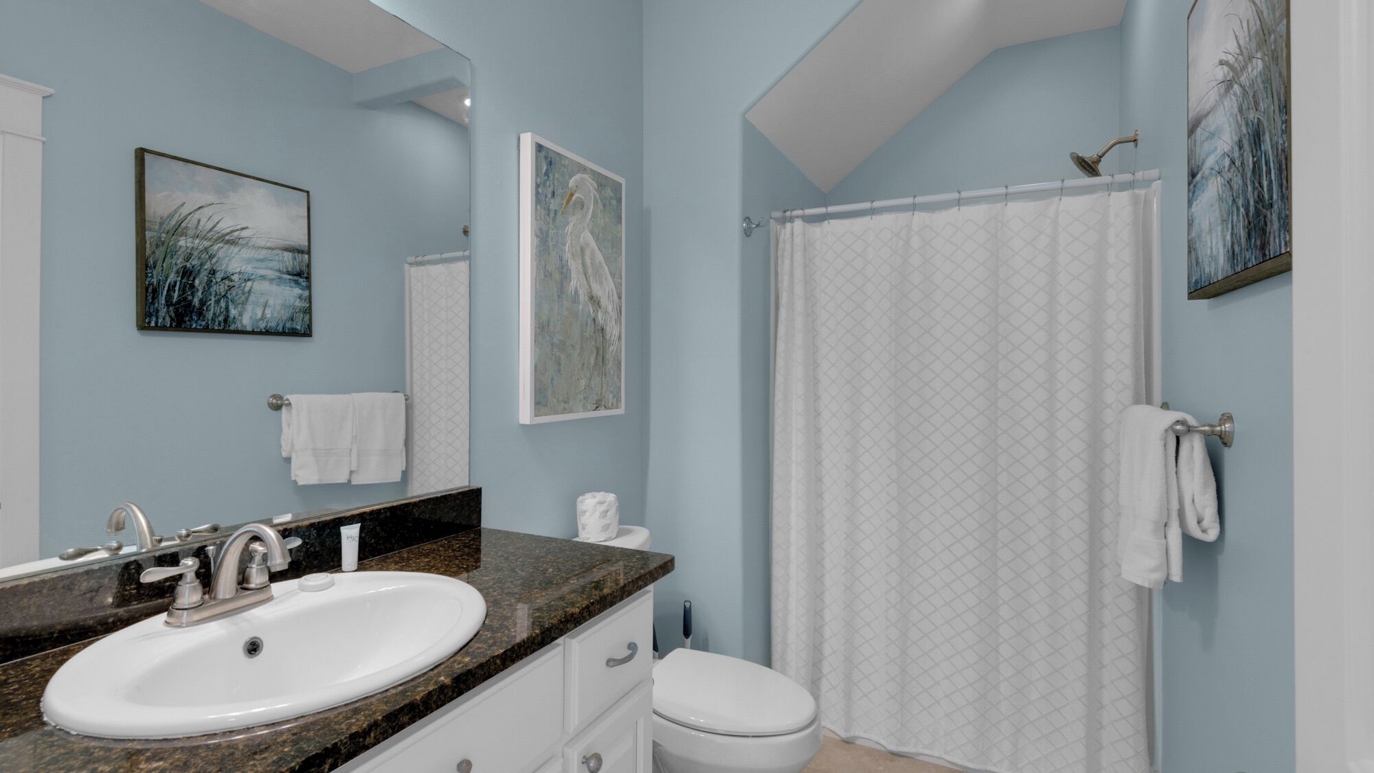 Une salle de bain avec un lavabo, des toilettes et un rideau de douche.