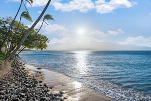 A beach with palm trees, a rocky shoreline, and a clear view of the ocean. - BEAUTIFUL 2bed/2bath Oceanfront Condo (Maalaea)