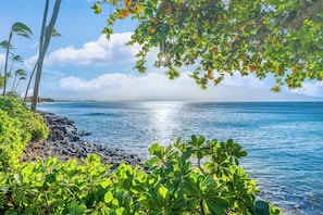 A coastal landscape with a rocky shoreline, palm trees, and a view of the ocean. - BEAUTIFUL 2bed/2bath Oceanfront Condo (Maalaea)