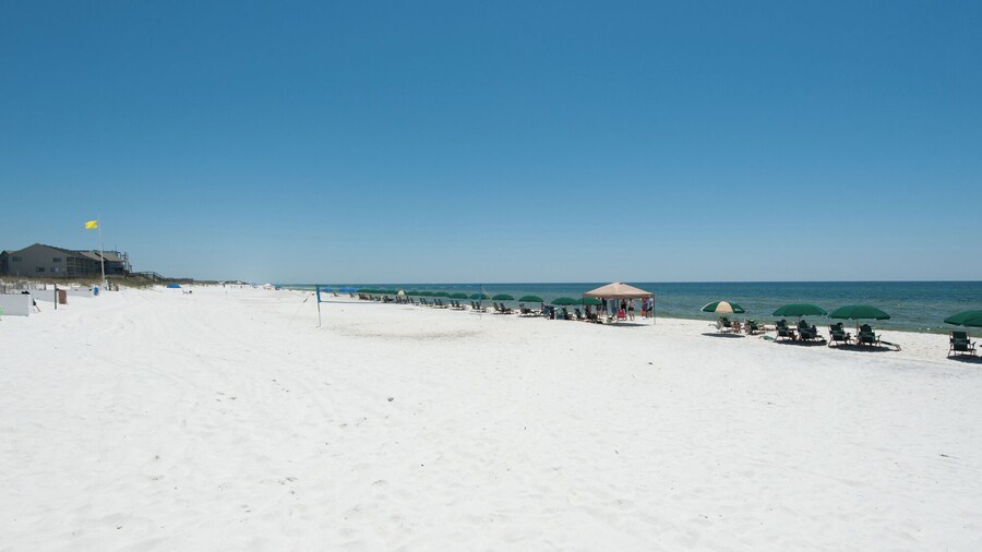 Beautiful House With Private Heated Pool & Golf Cart - 30a/seagrove Beach
