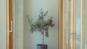 A hallway with a potted plant, wooden doors, and a light-colored floor. - La Maison Gaïa Hôtel & Spa (Torreilles)