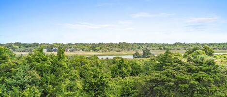 A view from a balcony overlooking a lush green landscape with a body of water and distant buildings.