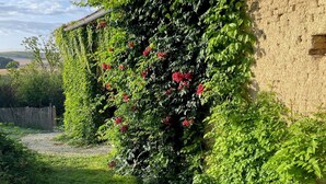 Un jardín con un muro de ladrillo cubierto de hiedra y plantas florecientes.
