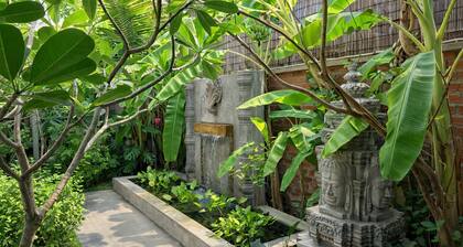 Moringa Tree Maison