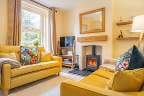 Télévision, cheminée