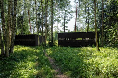 Bear Watching and Photography Hide