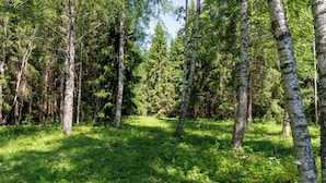 Uklassifisert bilde, 3 av 11, knapp