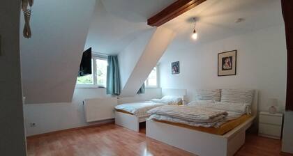 Cosy old Studio at Schlosspark