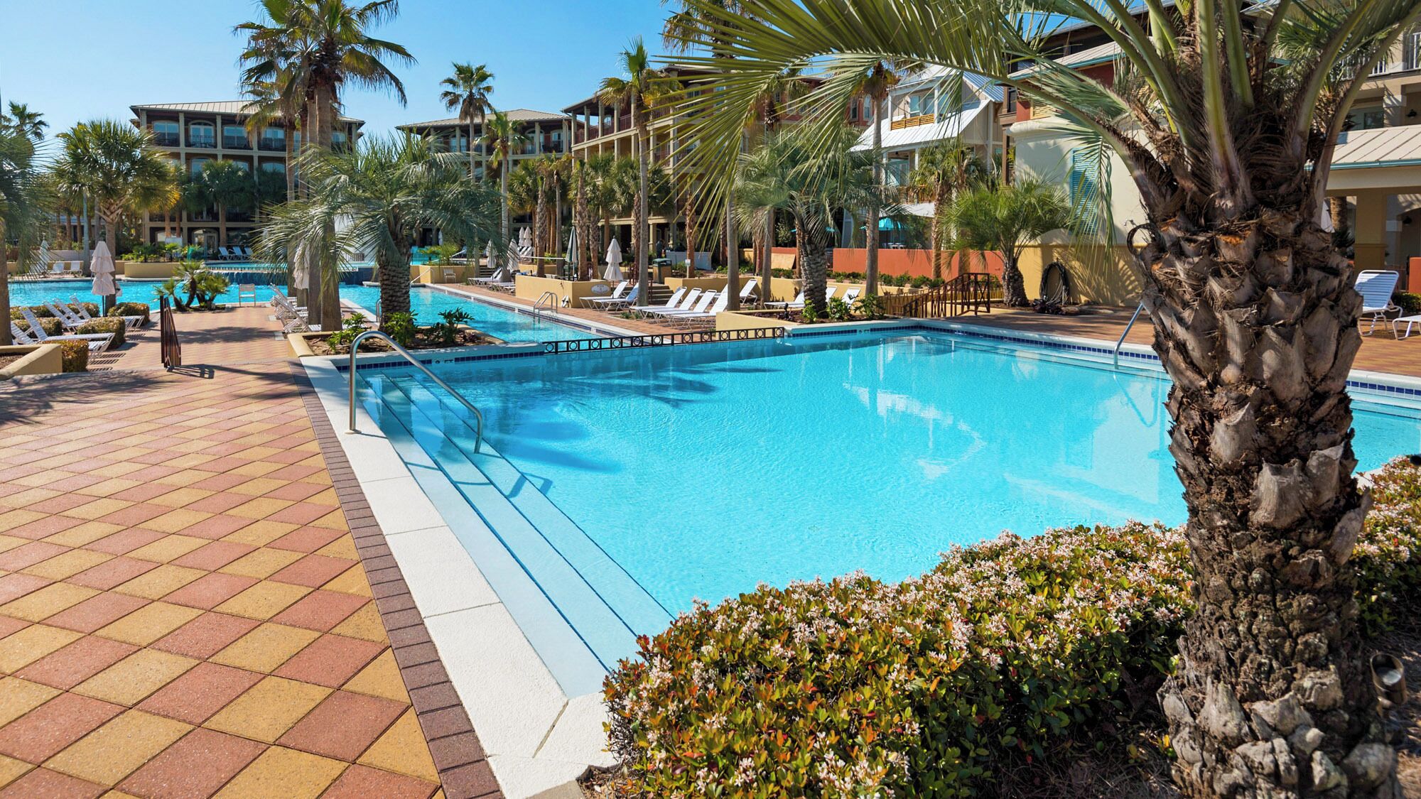 Une grande piscine extérieure entourée de palmiers et de chaises longues.