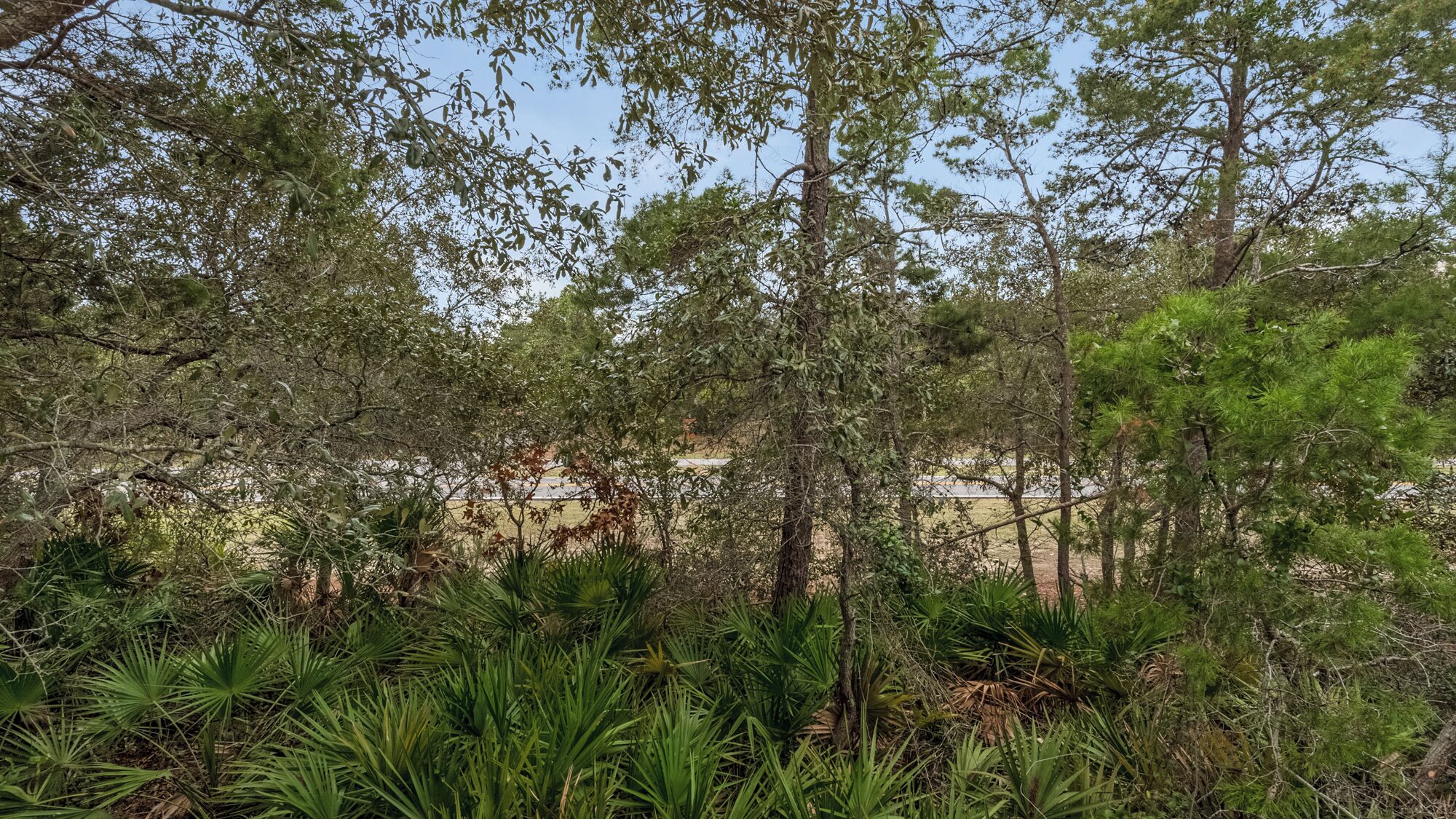 Un paysage naturel caractérisé par une végétation luxuriante et de nombreux arbres, un ciel dégagé et une vue lointaine d’un bâtiment.