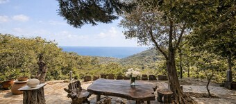Ikaria Roots Resort & VIlla  Private Blue Zone Longevity Retreat with Pool