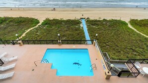 Une piscine avec un dauphin, entourée de chaises longues et offrant une vue sur la plage.