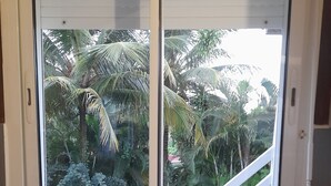 Une cuisine avec une fenêtre donnant sur un jardin luxuriant.