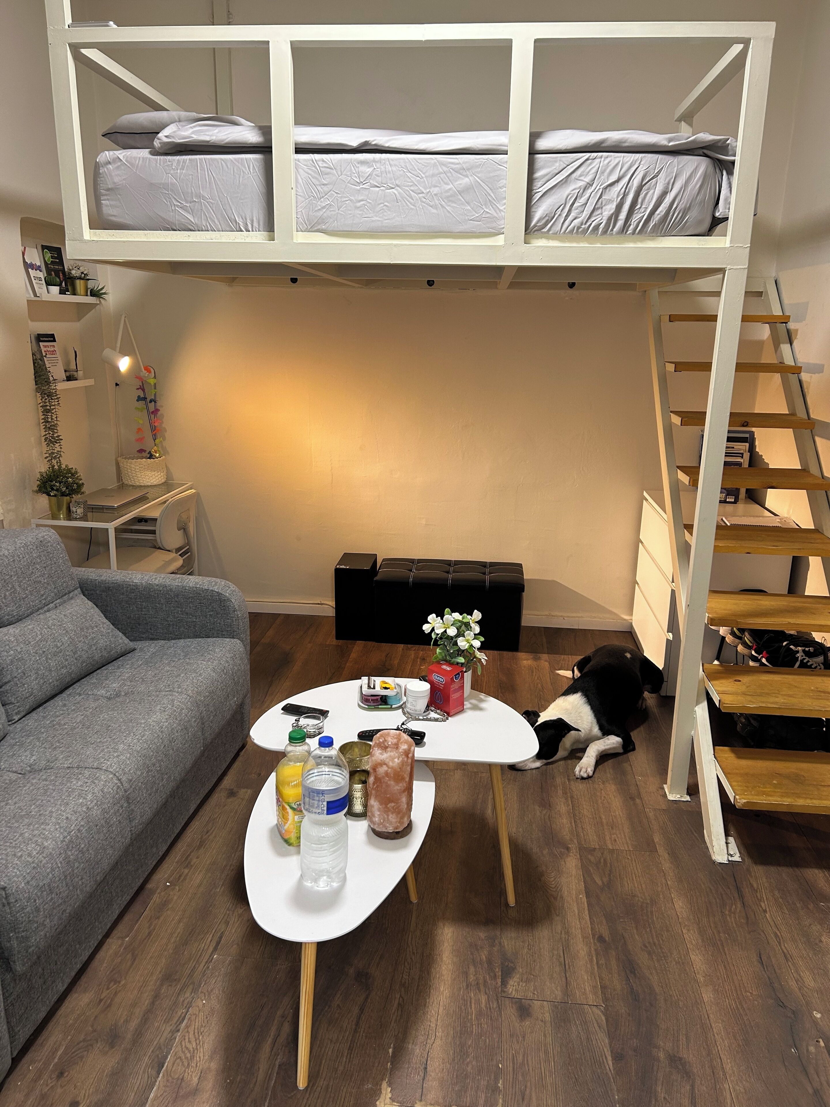 Een smart-tv, boeken, een filmbibliotheek en een stereo