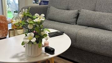 Smart-tv, böcker, ett filmbibliotek och en stereo