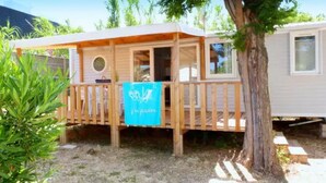 Una terraza de madera con una toalla azul colgando, un árbol y una casa móvil con ventanas y una puerta.