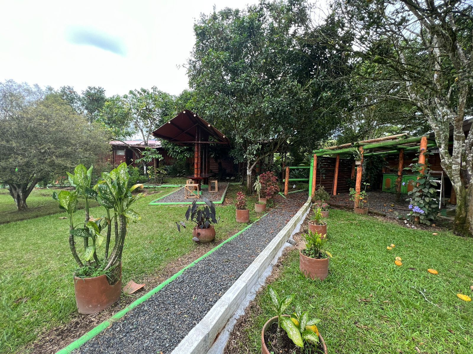 Un jardin avec un sentier, des plantes en pot, une structure en bois et un bâtiment en arrière-plan.