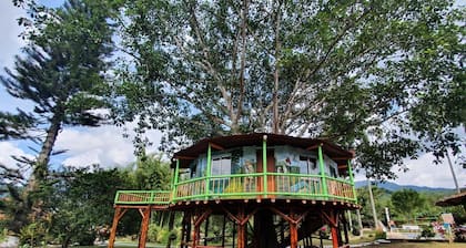 Ecocabañas Pereira
