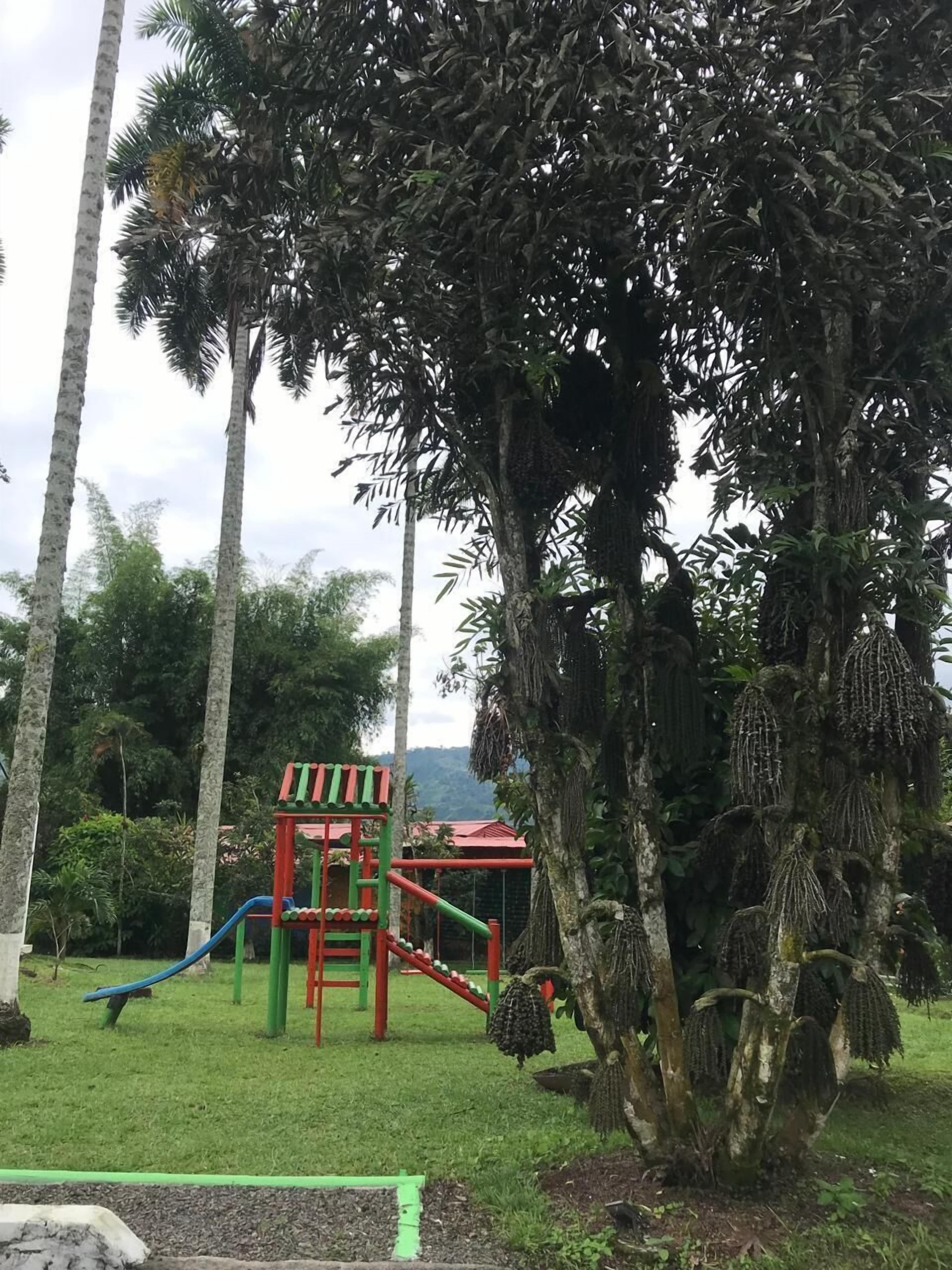 Une aire de jeux avec un toboggan et des structures d’escalade, entourée de grands arbres et d’une pelouse.