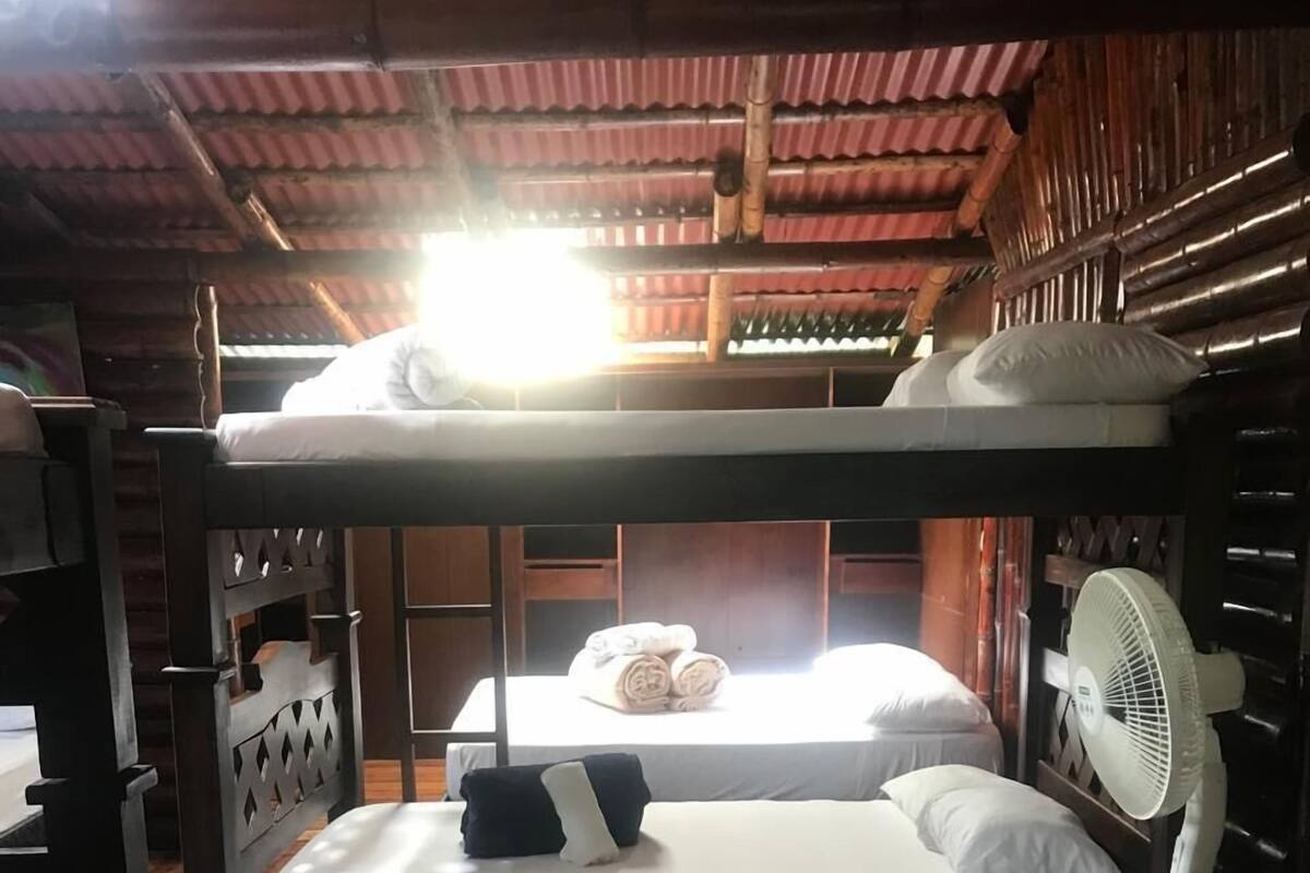 A bunk bed room with a wooden floor, a white fan, and a window with sunlight.