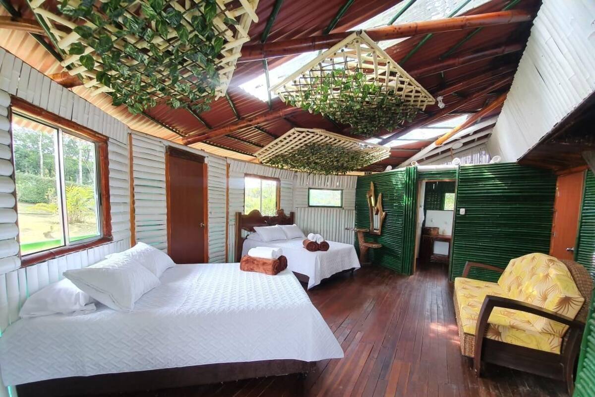 A cabin with two beds, a wooden floor, and a hanging plant.