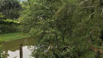 A lush green landscape with dense foliage and a body of water.