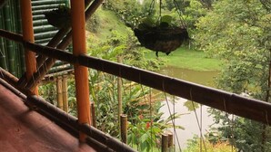 A view from a bamboo-framed structure overlooking a lush landscape with a river and distant hills. - Ecocabañas Pereira (Pereira)