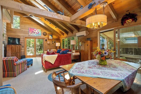 Smart TV, fireplace, books, music library