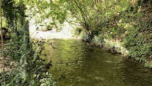 A narrow, clear stream surrounded by dense greenery and ferns. - Maison de Campagne Rivière et Forêt (Le Brévedent)