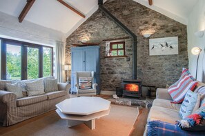 Smart TV y chimenea
