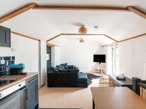 Ein kompakter Wohnbereich mit Küchenzeile, einem dunklen Sofa, einem Holzesstisch und einem Fernseher auf einem Stativ.
