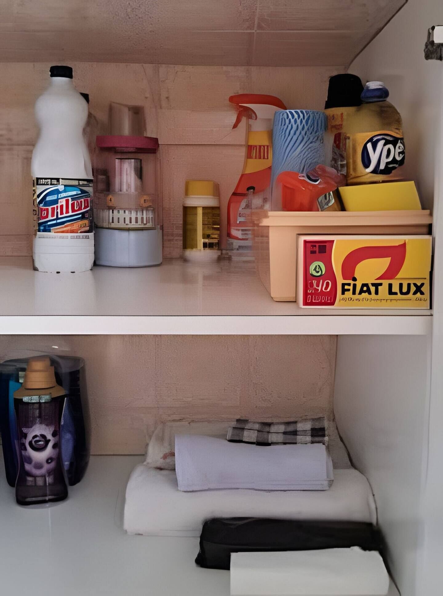 A storage area with shelves containing cleaning supplies, a water bottle, and a box labeled "FIAT LUX".