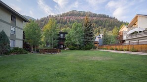 A residential area with a well-maintained lawn, a wooden deck, and houses with balconies. - Sunnyside Studio w/ hot tub! (Telluride)