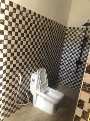 Douche, sèche-cheveux, serviettes fournies, savon