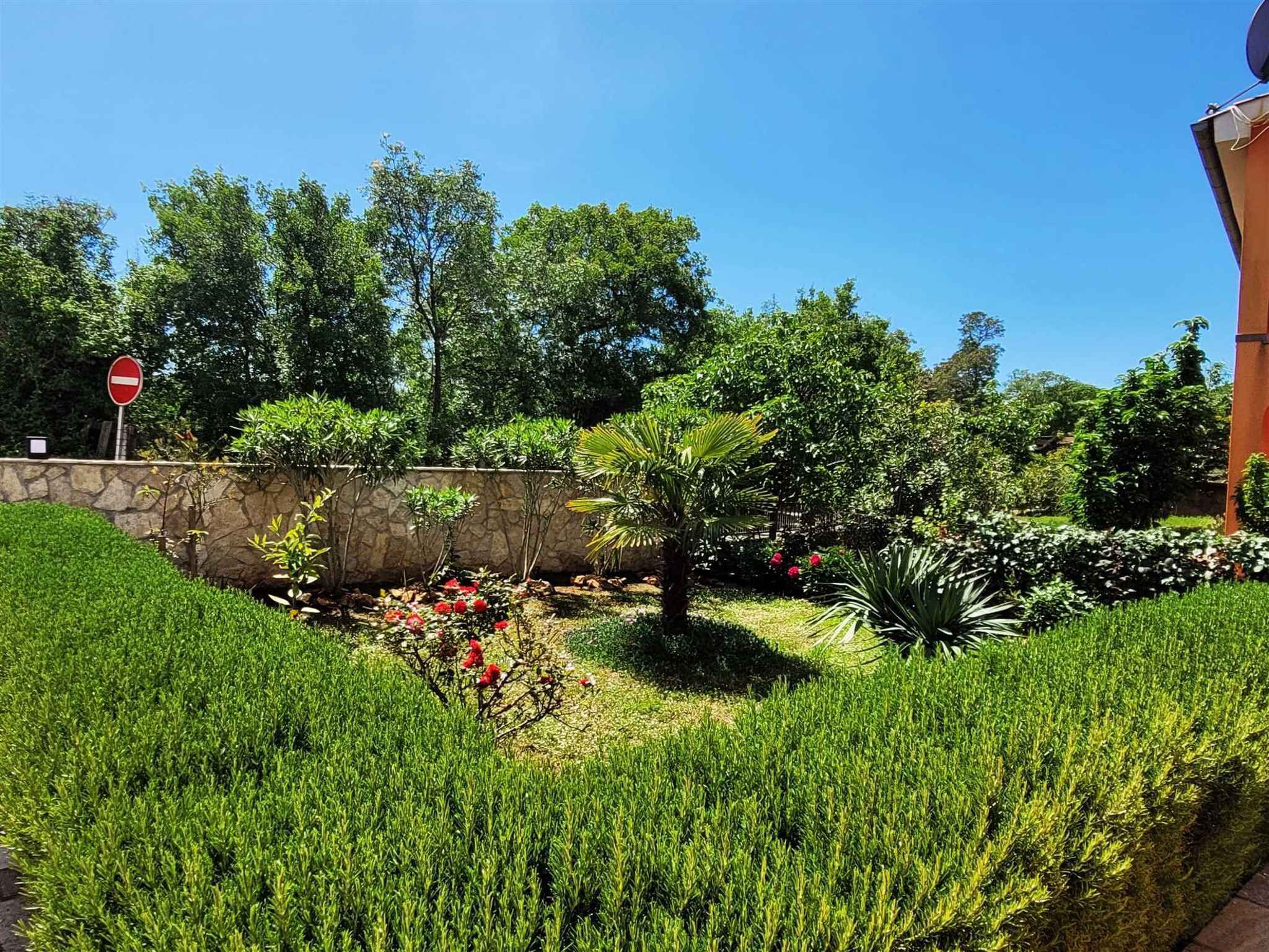 A garden with a stone wall, various plants, and a no entry sign.