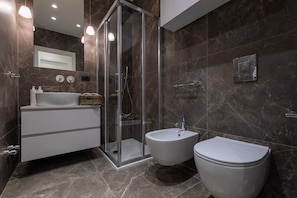Shower, hair dryer, bidet, towels