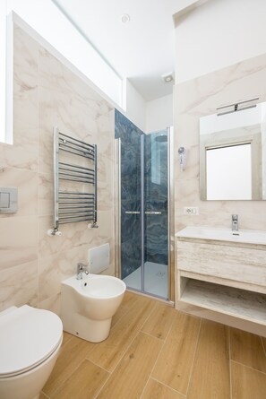 Shower, hair dryer, bidet, towels