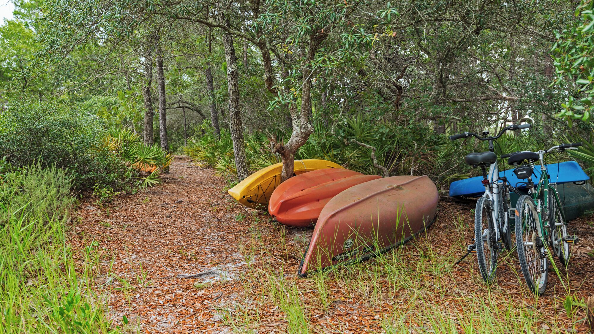 Un sentiero nella foresta con kayak e una bicicletta.