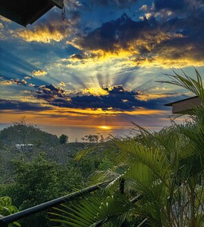 Escape to a serene tropical haven with breathtaking views of a tranquil body of water.