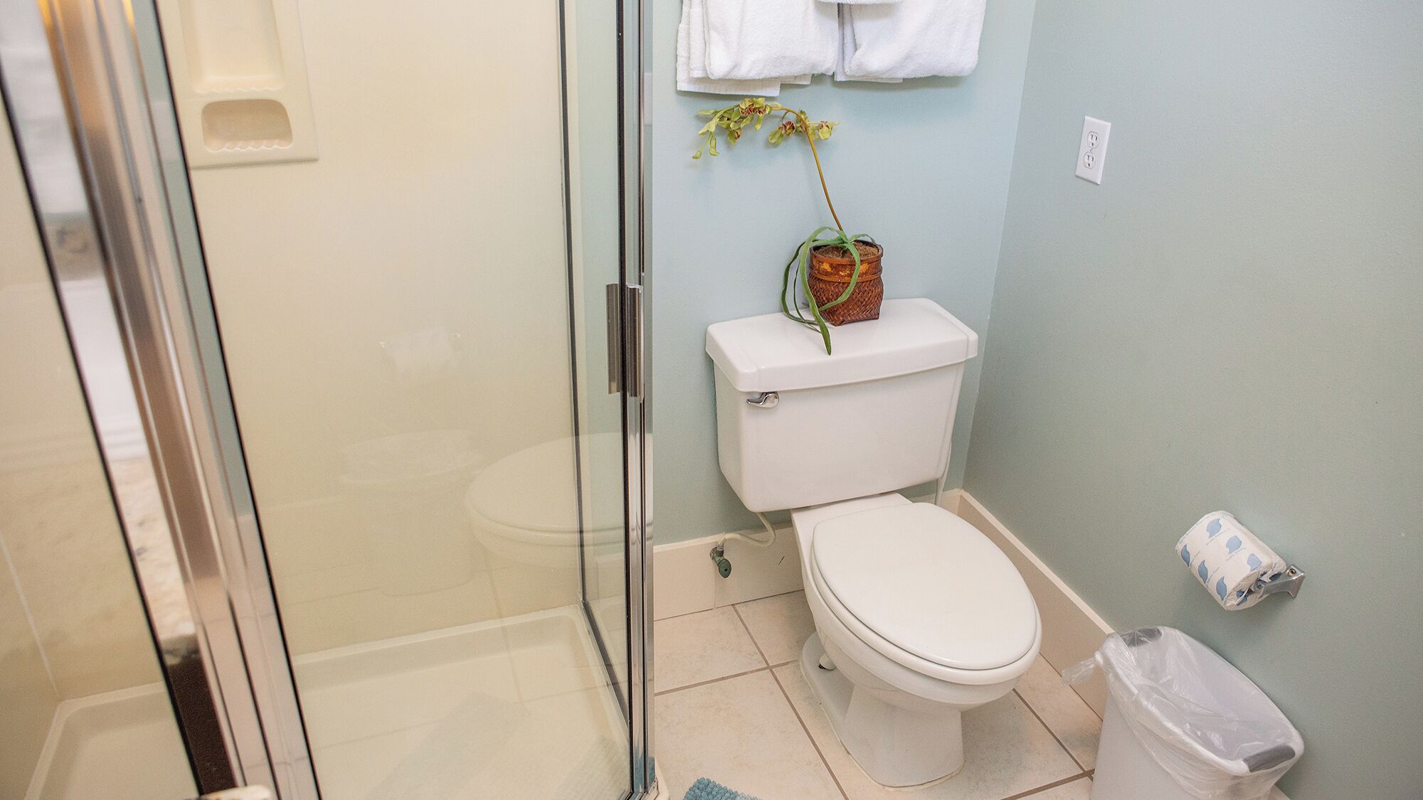 Une salle de bain avec une douche à parois de verre, des toilettes et un lavabo.