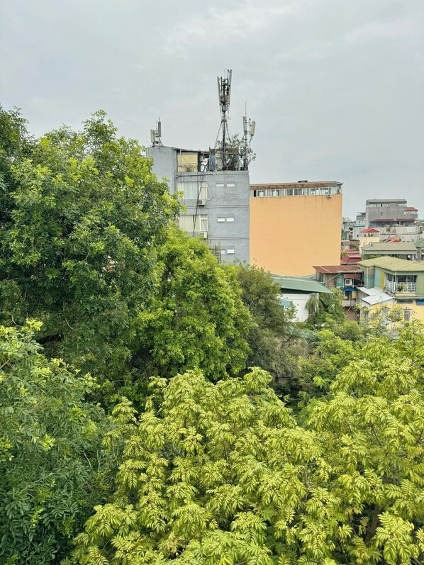 Vista desde la propiedad