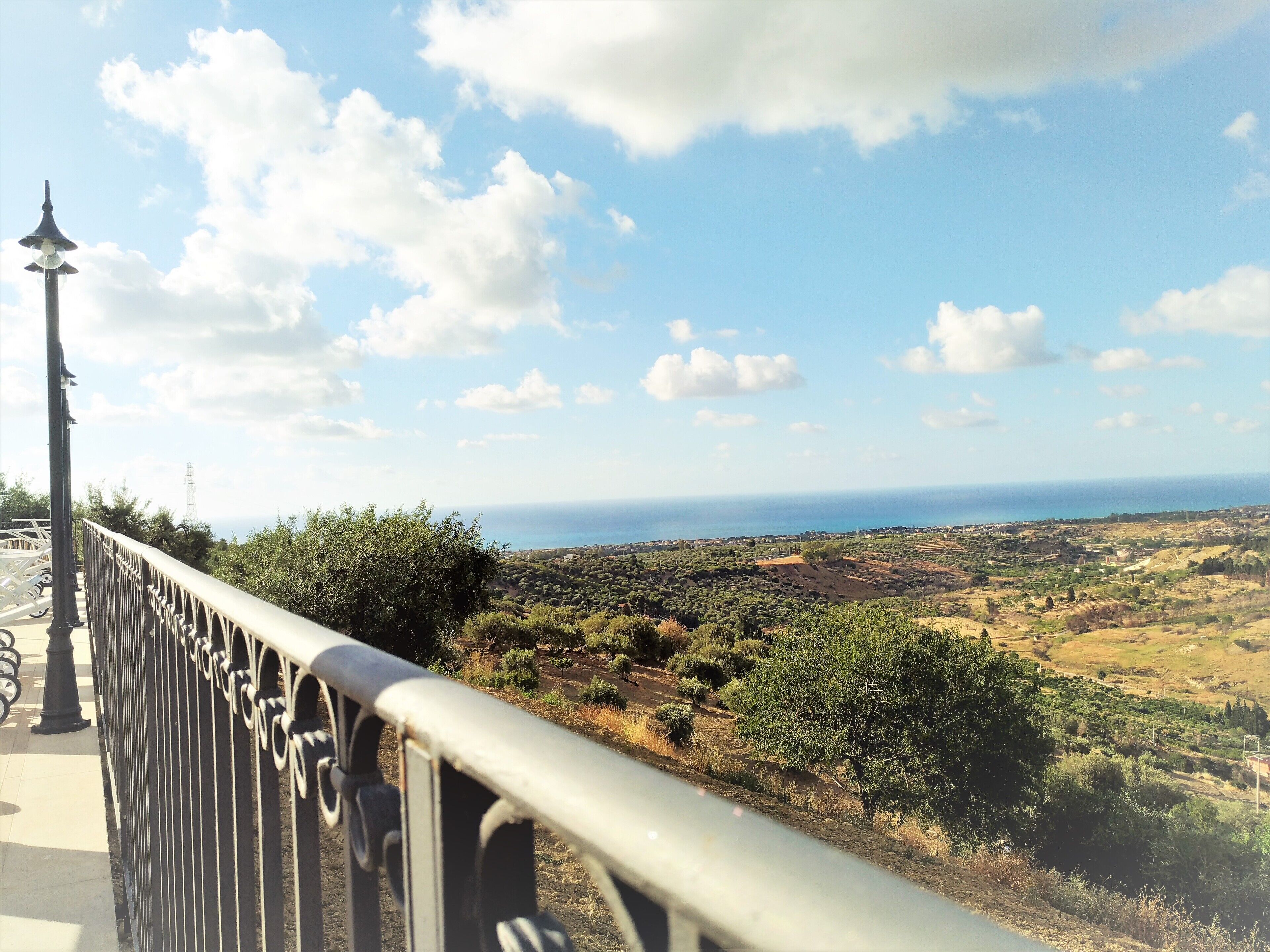 A coastal landscape with a metal railing, trees, and a clear sky.