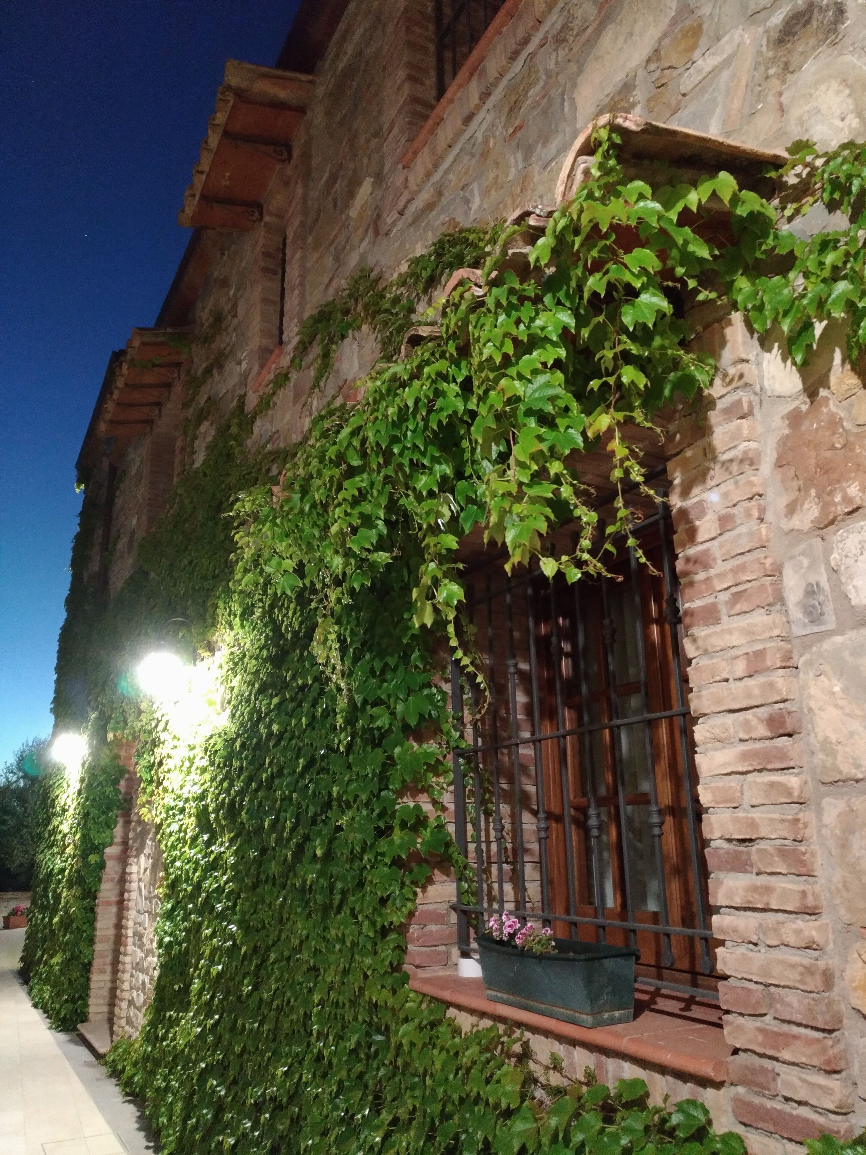 Habitació doble o amb dos llits individuals empresarial, vistes al jardí | Vista des de l&#x27;habitació