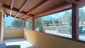 Family Quadruple Room, Mountain View